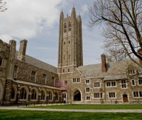 Princeton University