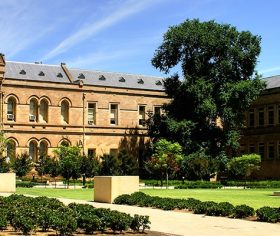 University of Adelaide