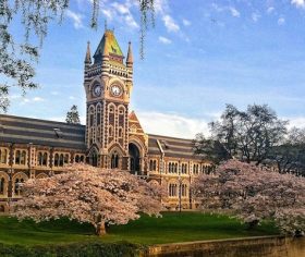 University of Otago