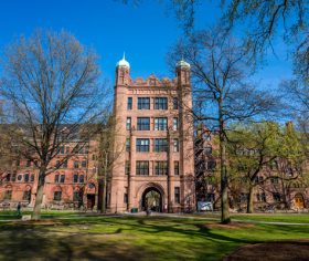 Yale University